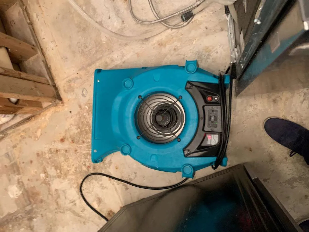 Air mover drying equipment for Mold Remediation & Removal in Lake Arrowhead